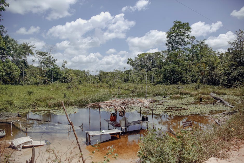 Plano de ação de 4 semanas: passos simples para começar hoje