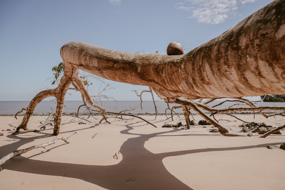 {KPIs para a integra&ccedil;&atilde;o: mensurando resultados reais}