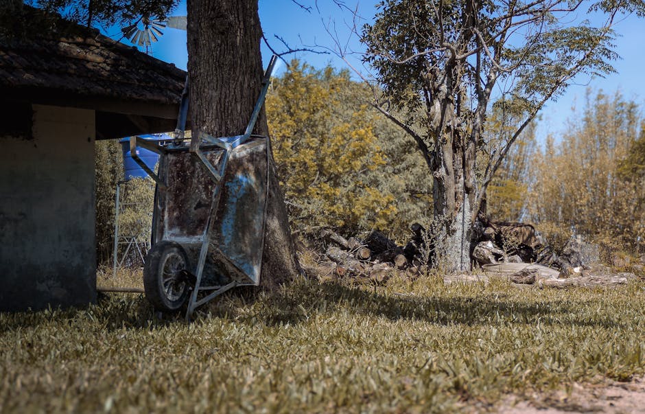 M&eacute;tricas pr&aacute;ticas: taxa de ado&ccedil;&atilde;o por equipe, qualidade de dados e frequ&ecirc;ncia de uso
